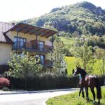 Zasebni wellness - savna in jacuzzi